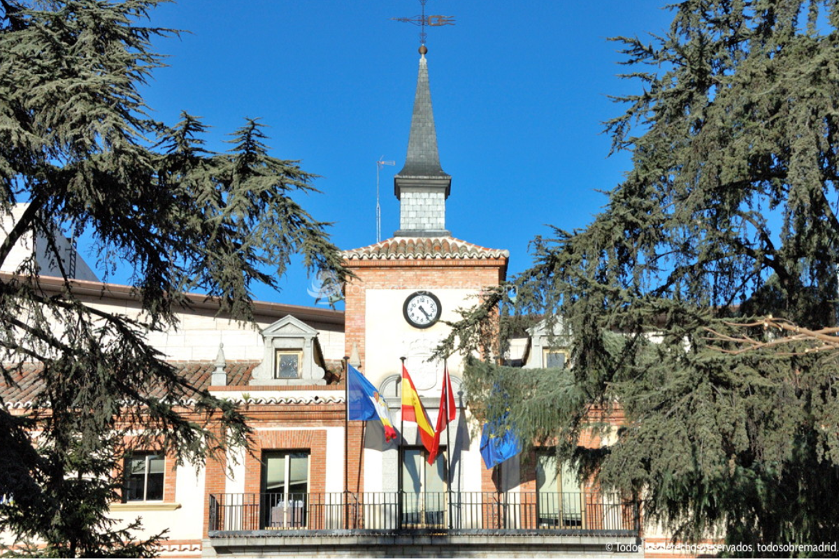 actividades